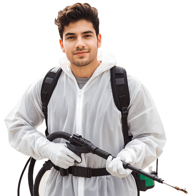 Eco-Insect - Profesjonalne zwalczanie szkodników, dezynsekcja, deratyzacja i dezynfekcja.