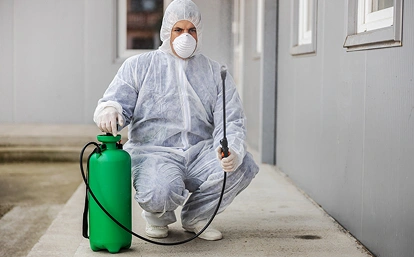 Eco-Insect - Profesjonalne zwalczanie szkodników, dezynsekcja, deratyzacja i dezynfekcja.