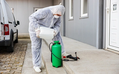 Eco-Insect - Profesjonalne zwalczanie szkodników, dezynsekcja, deratyzacja i dezynfekcja.